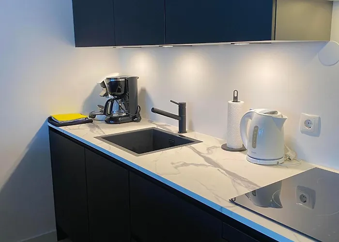 Apartamento Sterflat 261 *